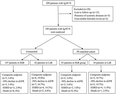 Serum Bilirubin Is Correlated With the Progression of IgA Vasculitis With Nephritis